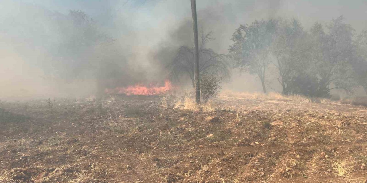 Diyarbakır’da 2 kırsal mahallede orman orman yangını çıktı