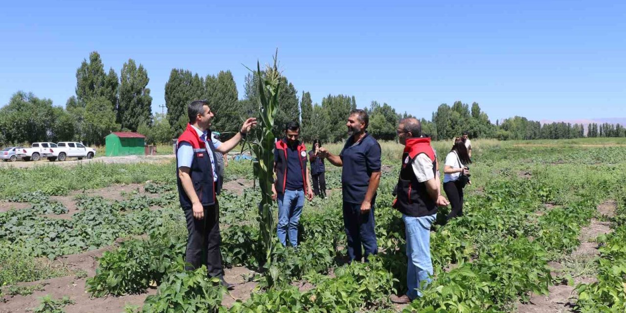 Ağrı’da hibeli sebze fidesi desteği denetimleri devam ediyor