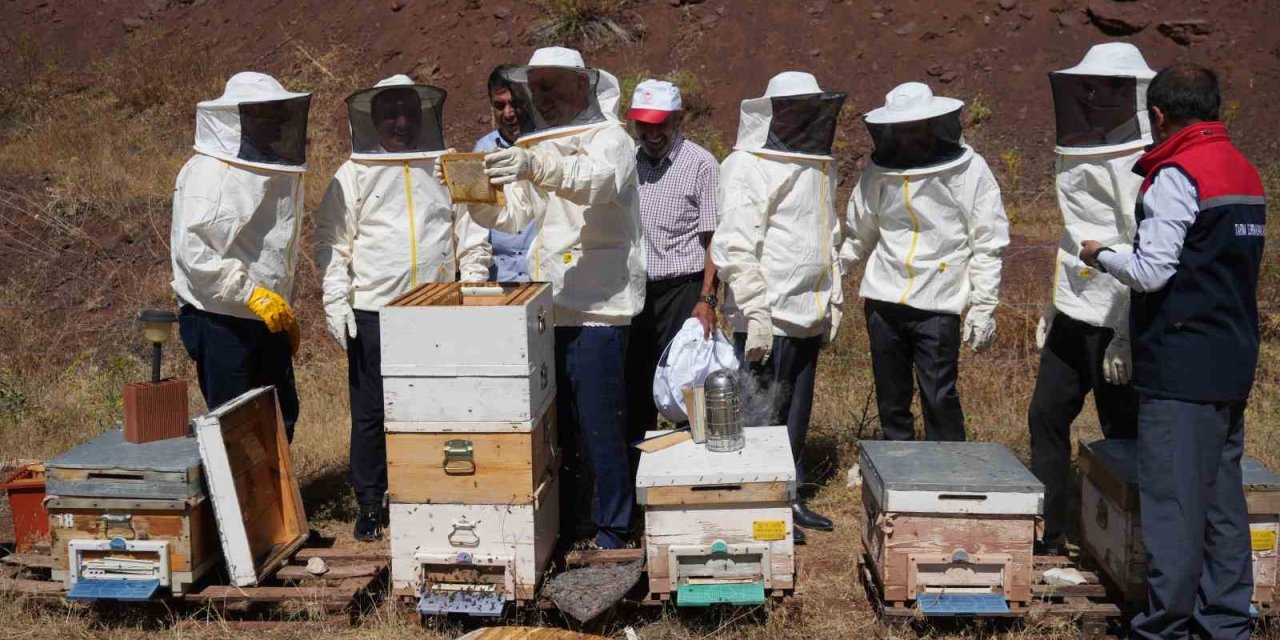 Erzincan’da Geven Balı hasadı yapıldı