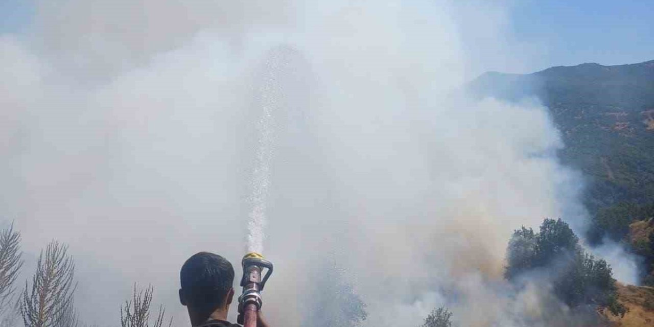 Bingöl’de kırsal alanda çıkan yangın söndürüldü
