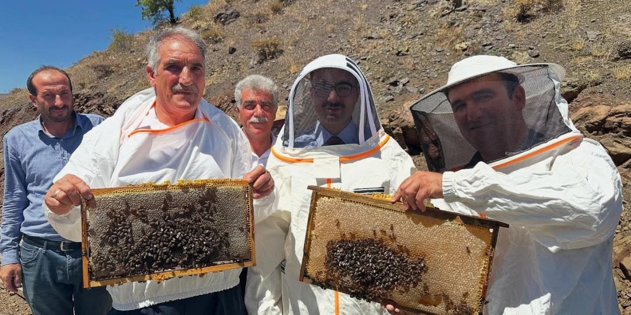 Sincik’te bal hasadı