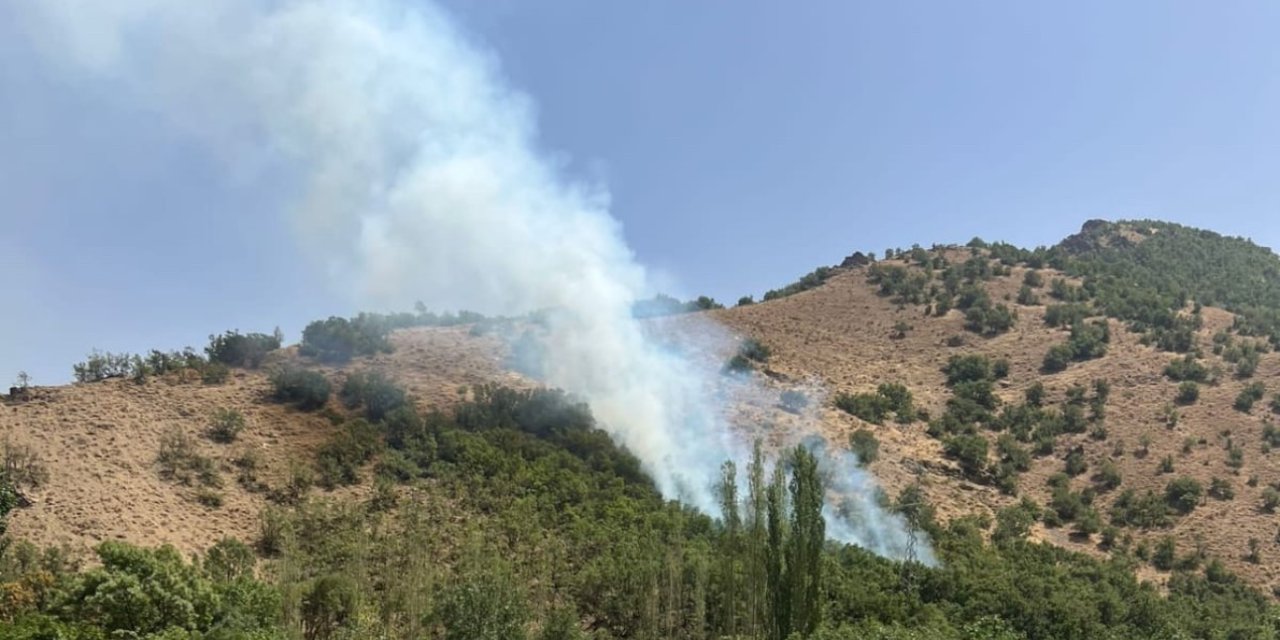 Şemdinli’de orman yangını