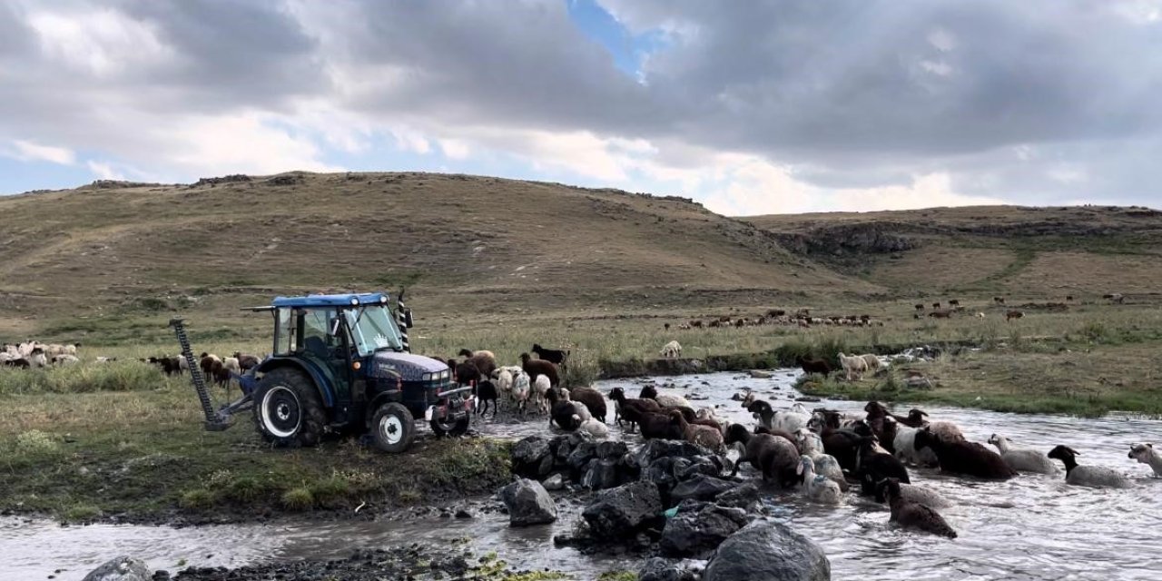 Kars’ta sıcakla mücadele