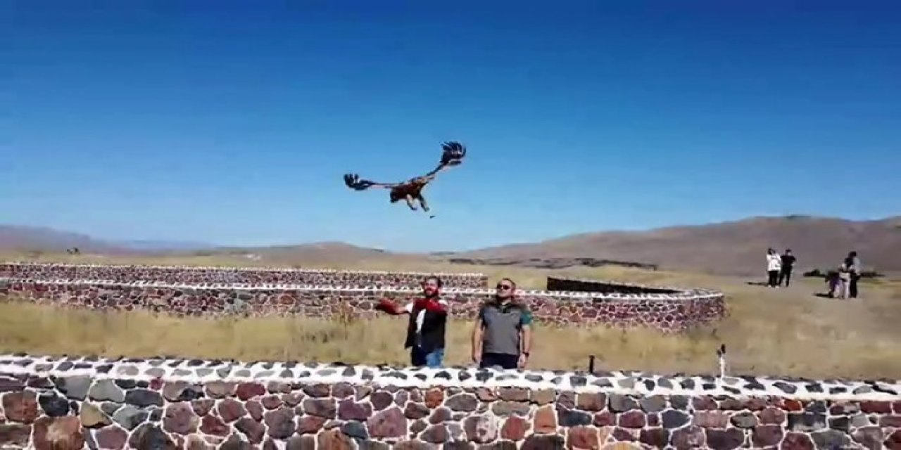 Erzurum'da Kızıl Şahin doğal yaşamına bırakıldı