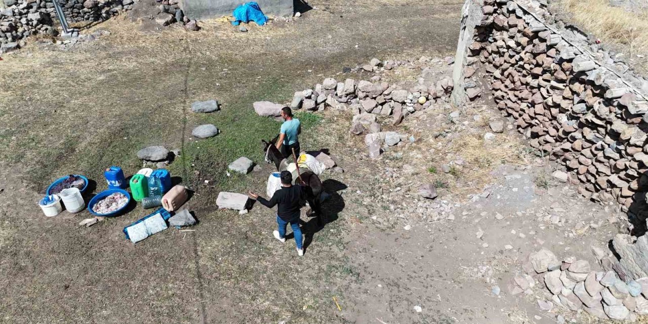 Iğdır’da 2025 yılında eşek sırtında su taşınıyor