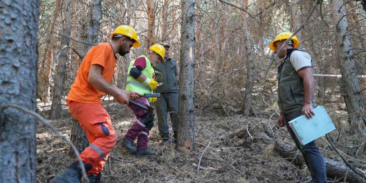 Erzurum Palandöken’de yangına karşı seferberlik
