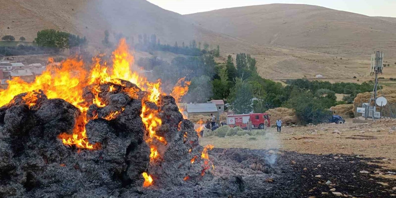 Gevaş’ta ot yangını