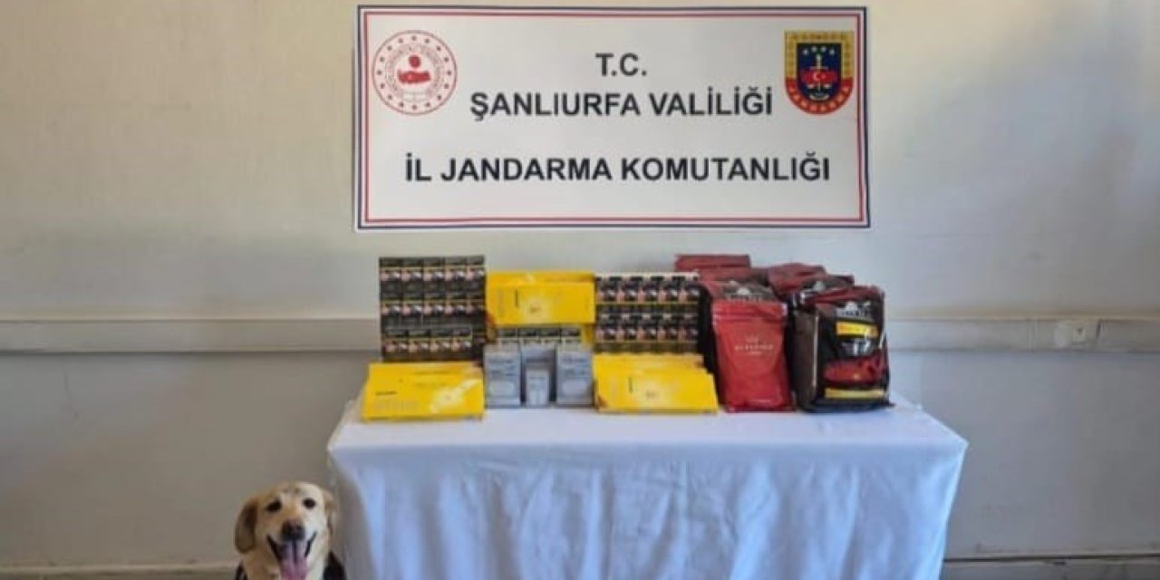 Şanlıurfa’da uyuşturucu operasyonunda 6 gözaltı