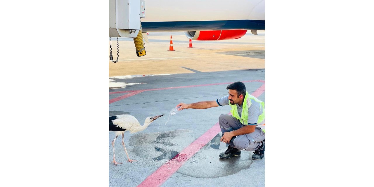 Yüksekova Selahaddin Eyyubi Havalimanı çalışanından örnek davranış