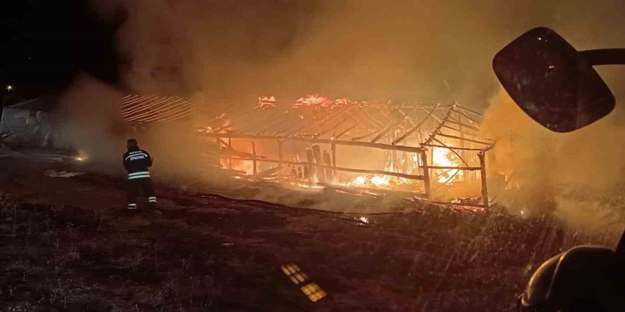 Muş’ta ahır yangını