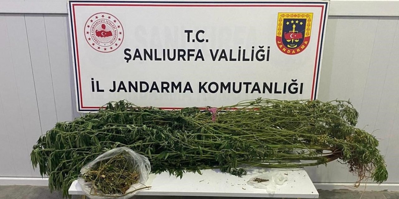 Şanlıurfa’da uyuşturucu operasyonunda 12 gözaltı