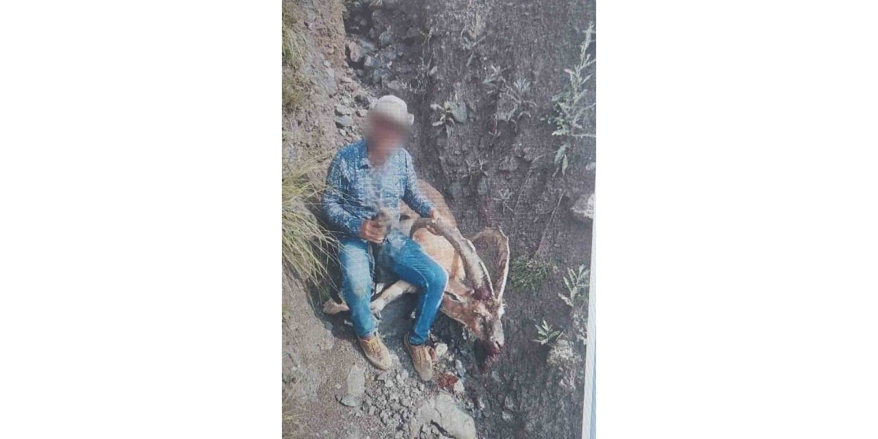 Kars’ta 1 kişi yaban keçisi avladı, 650 bin lira ceza kesildi