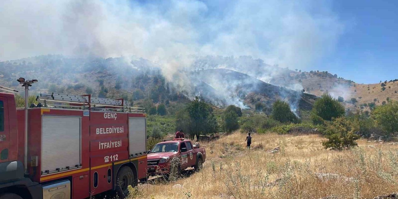 Bingöl’de köyde çıkan yangın ormana sıçradı