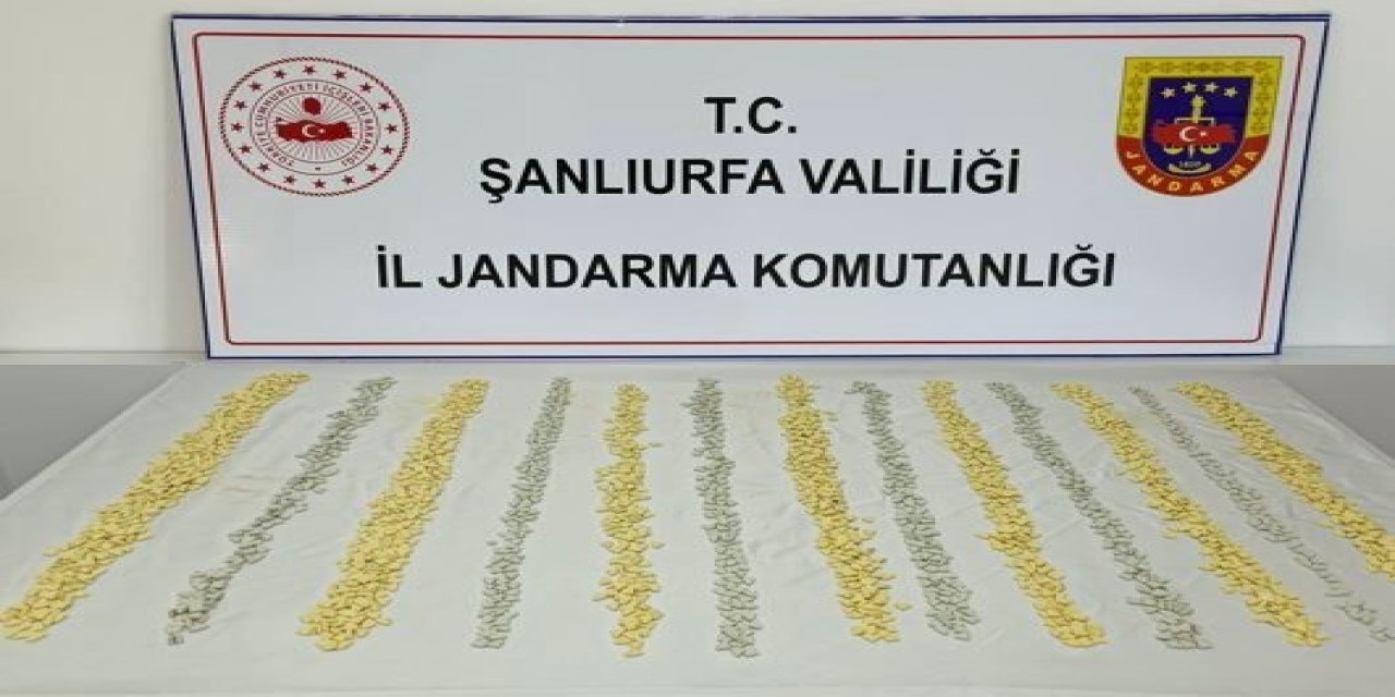 MİT tespit etti, jandarma operasyon gerçekleştirdi