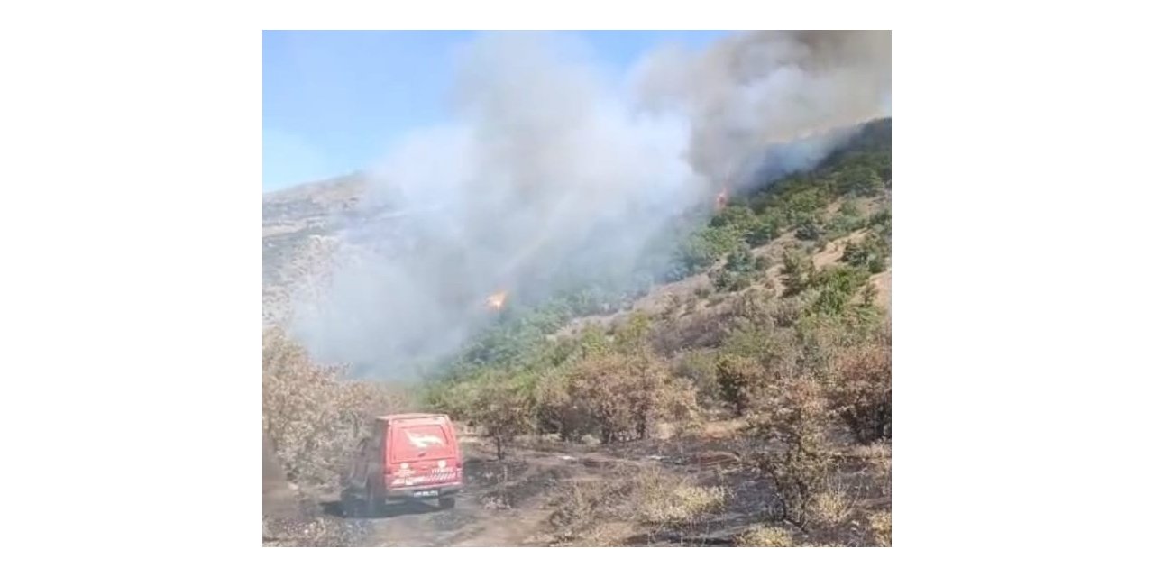 Malatya’da orman yangını