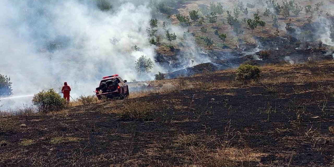 Hekimhan’da ormanlık alanda çıkan yangın söndürüldü
