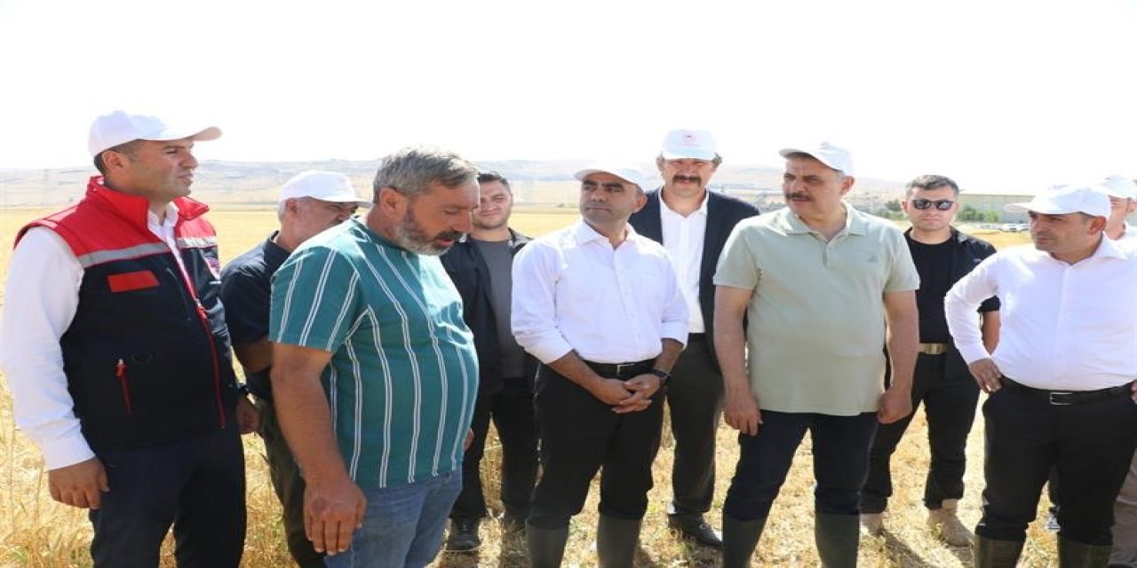 Tarımsal üretim için gençlik aşısı