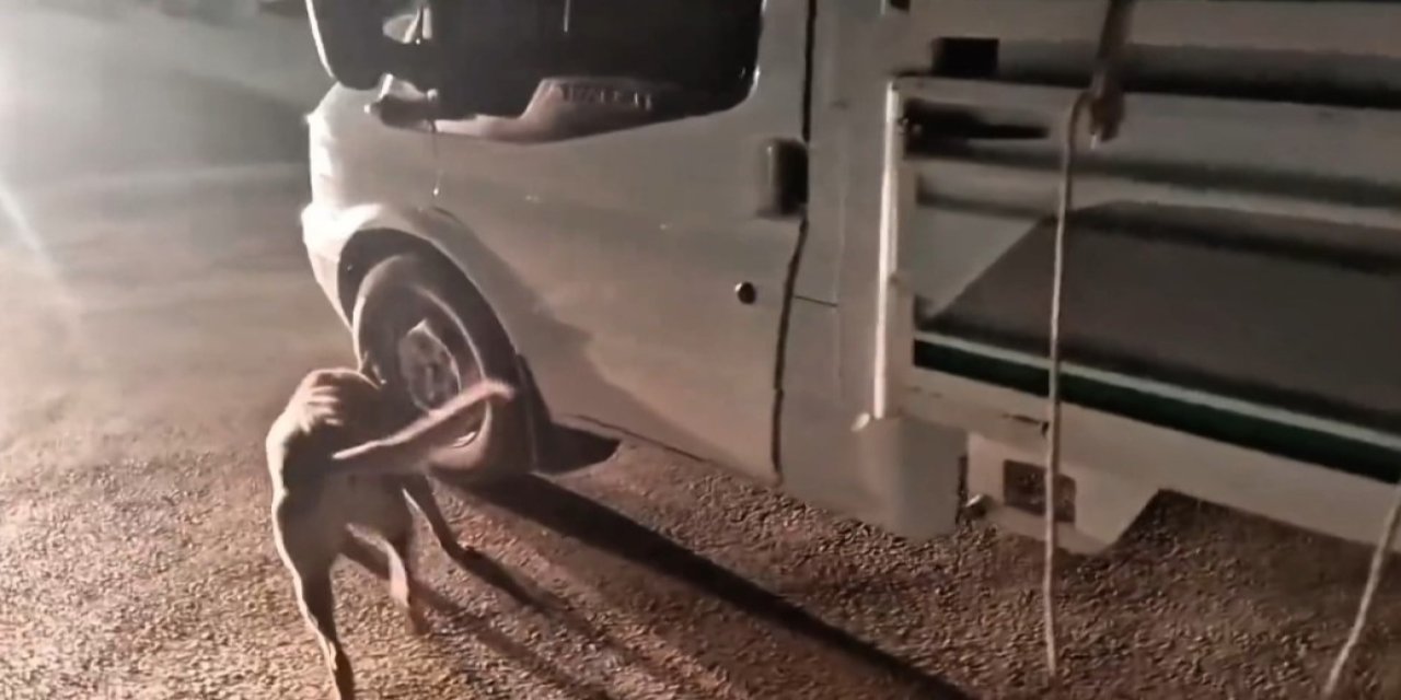 Yüksekova'da kamyonette 26 kilogram skunk ele geçirildi: 1 şüpheli tutuklandı