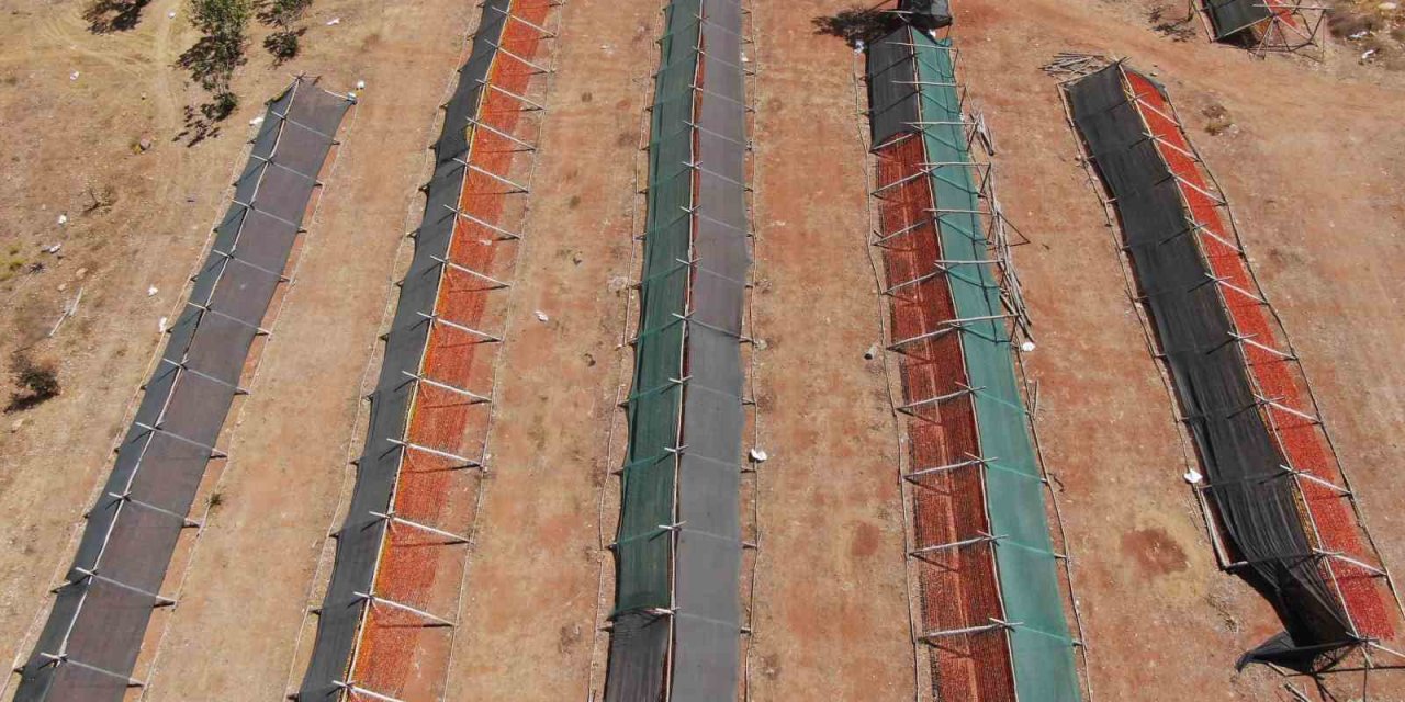 Gaziantep'te  güneşe bırakılan kurutmalıklar eşsiz görüntüler oluşturuyor