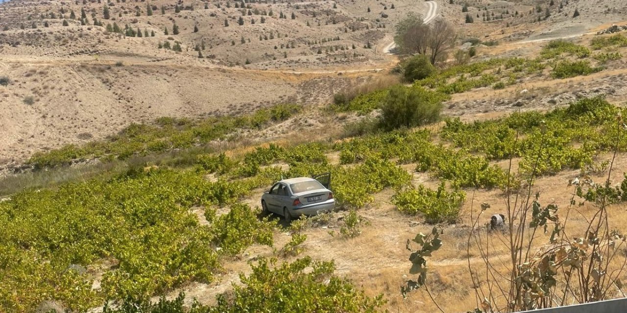Malatya’da kontrolden çıkan araç üzüm bağına uçtu: 2 kişi yaralandı