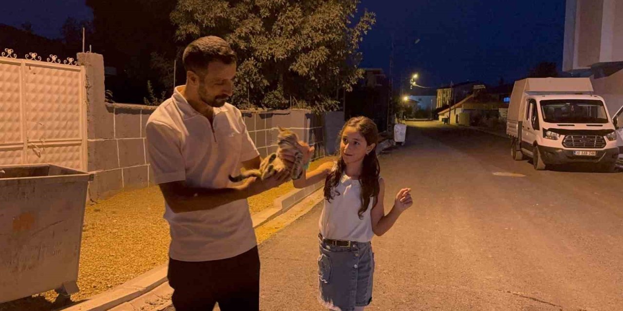 Yüksekova’da baba-kız yaralı kediyi hayata döndürdü