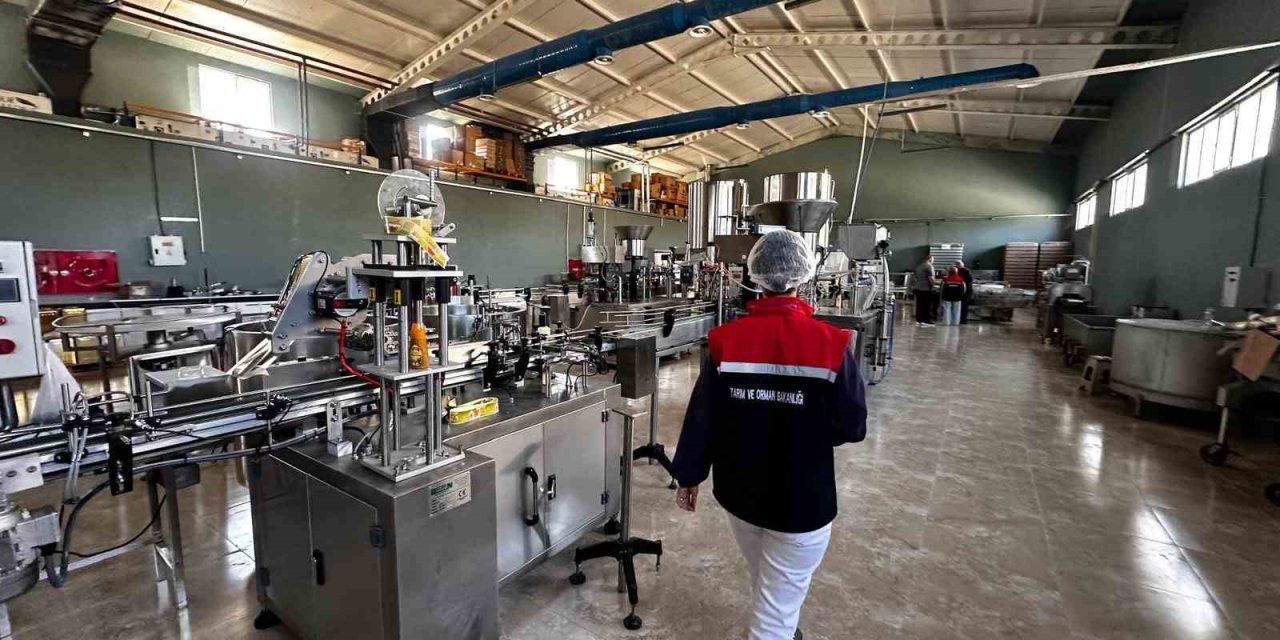 Erzurum'da gıda satışı yapan 254 işyeri denetlendi