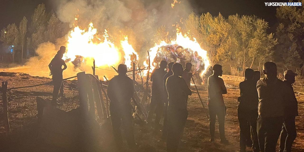 Yüksekova’nın Beşbulak (Darê) köyünde ot yangını: Bir yıllık emek kül oldu