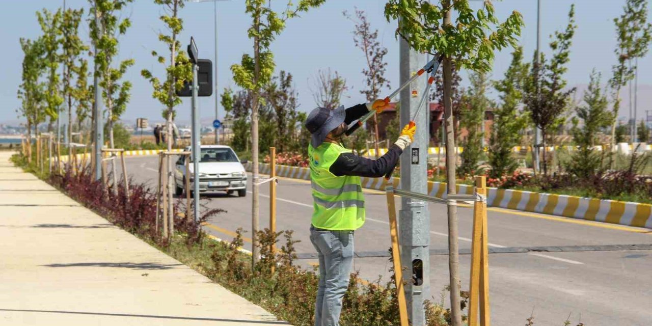 Sahil yolunda geniş kapsamlı peyzaj çalışması