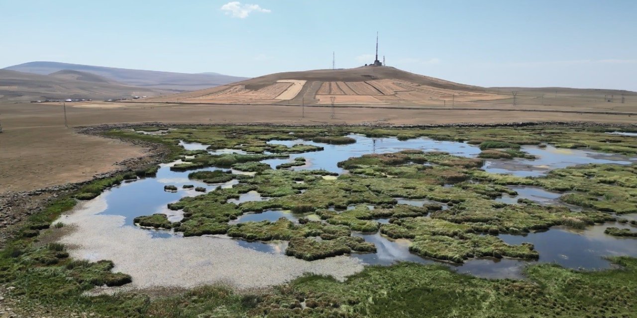 Kars’ta kuraklığın vurduğu Çalı Gölü’nü kuşlar terk etti
