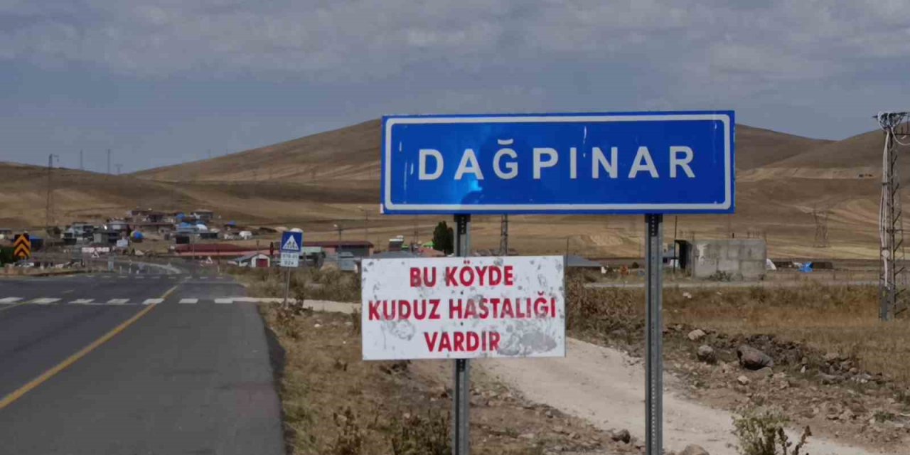 Kars’ta kuduz vakası: Bir belde karantinaya alındı