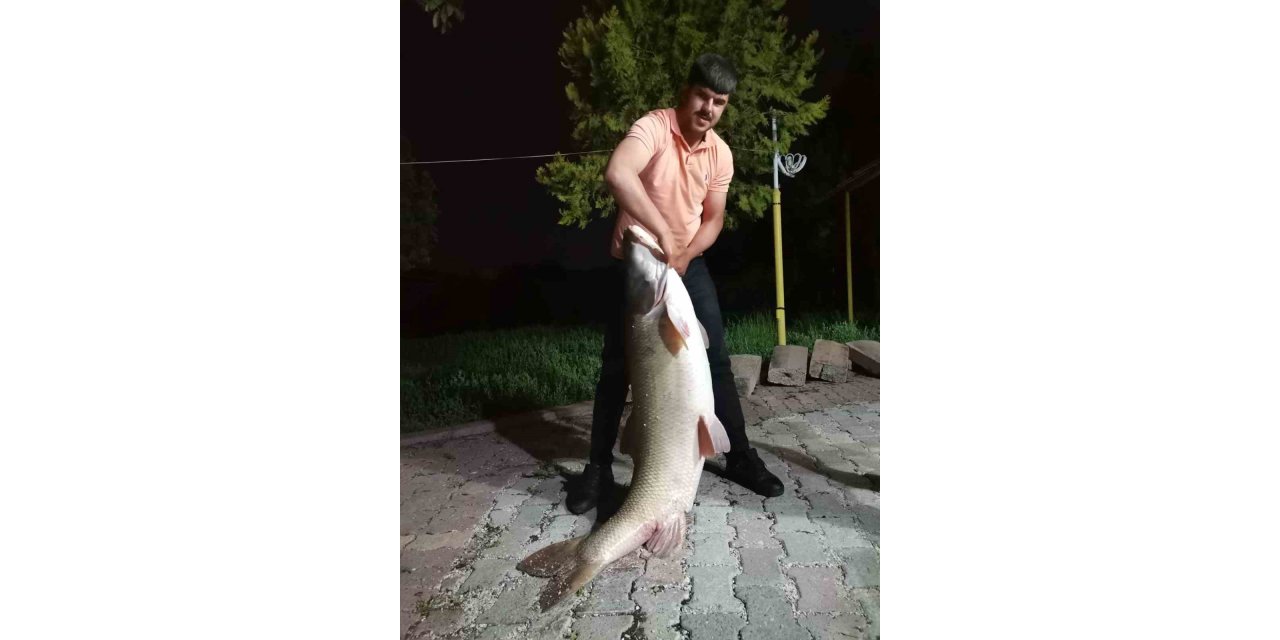 Elazığ’da 75 kiloluk dev turna balığı