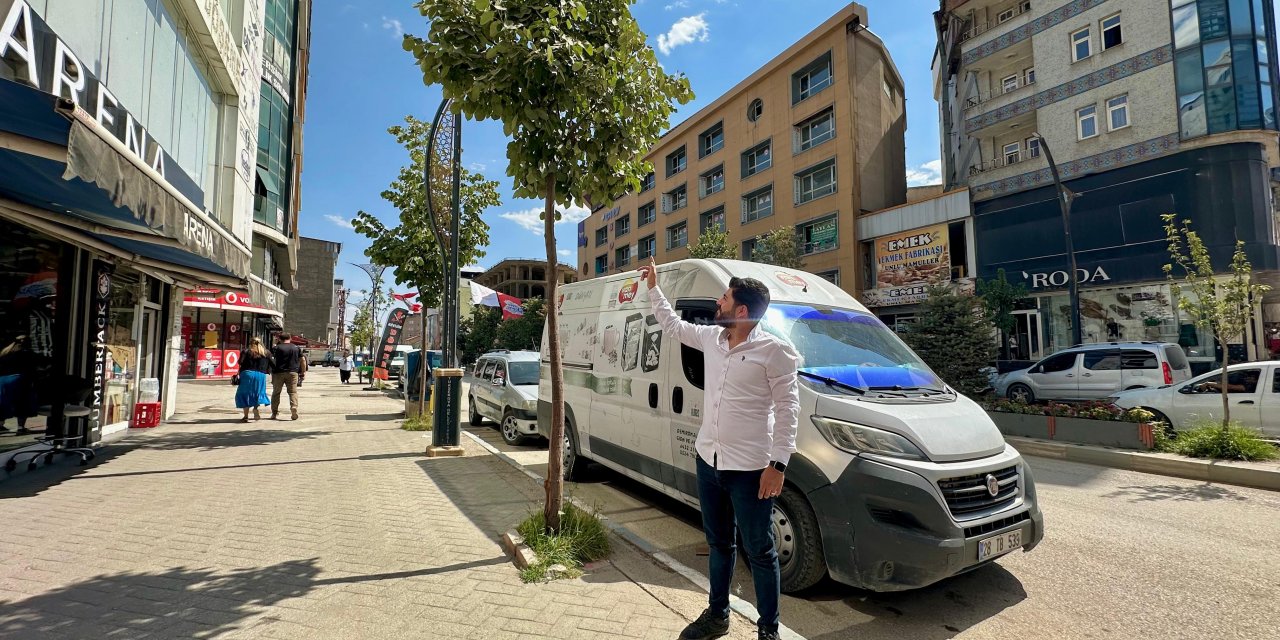 Yüksekova'da iş yerinin önündeki ağaçta yuva yapan bir çift kumruya bakıyor