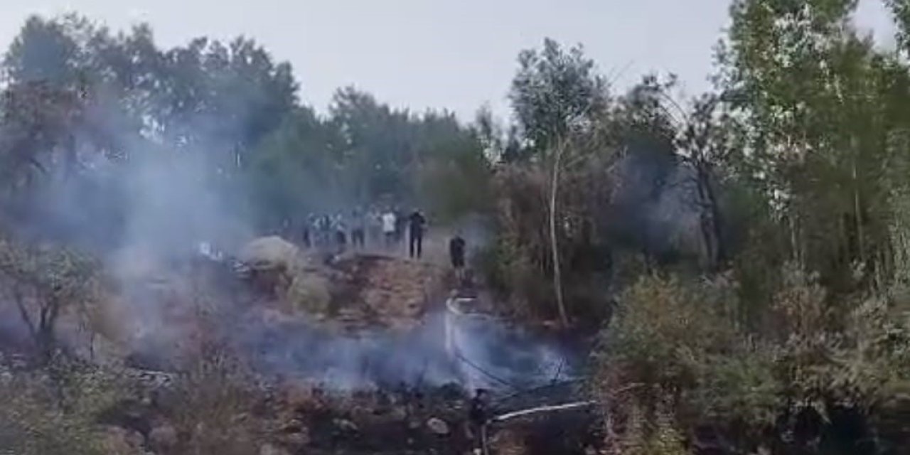 Hakkari’de ormanlık alanda yangın