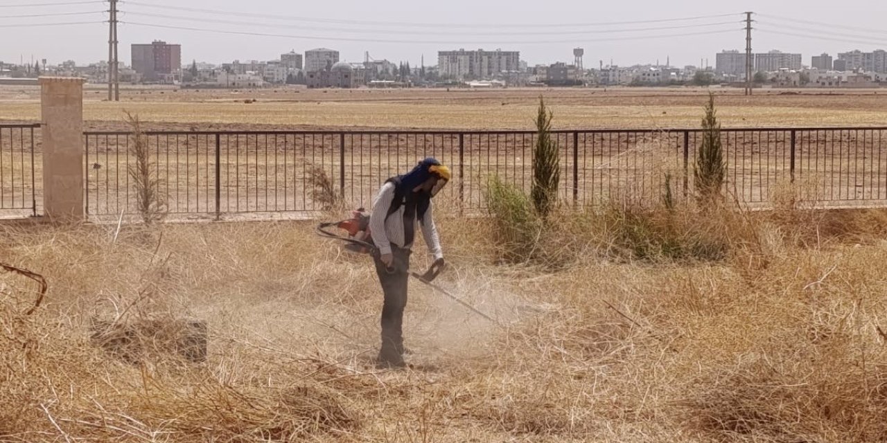 Kızıltepe Millet Bahçesinde bakım ve yenileme çalışmaları devam ediyor