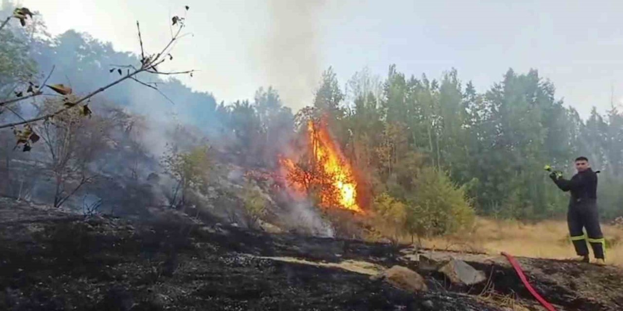 Hakkari’de 3 farklı bölgede çıkan yangın söndürüldü
