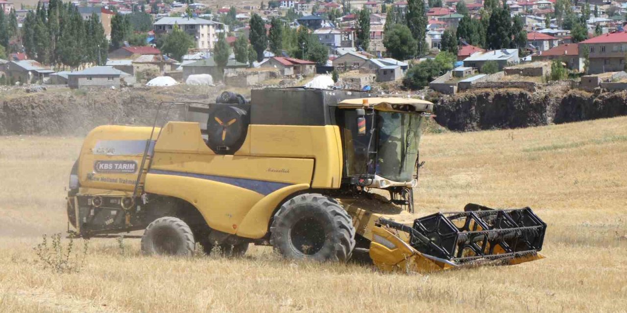 Ağrı Diyadin’de hasat mevsimi başladı
