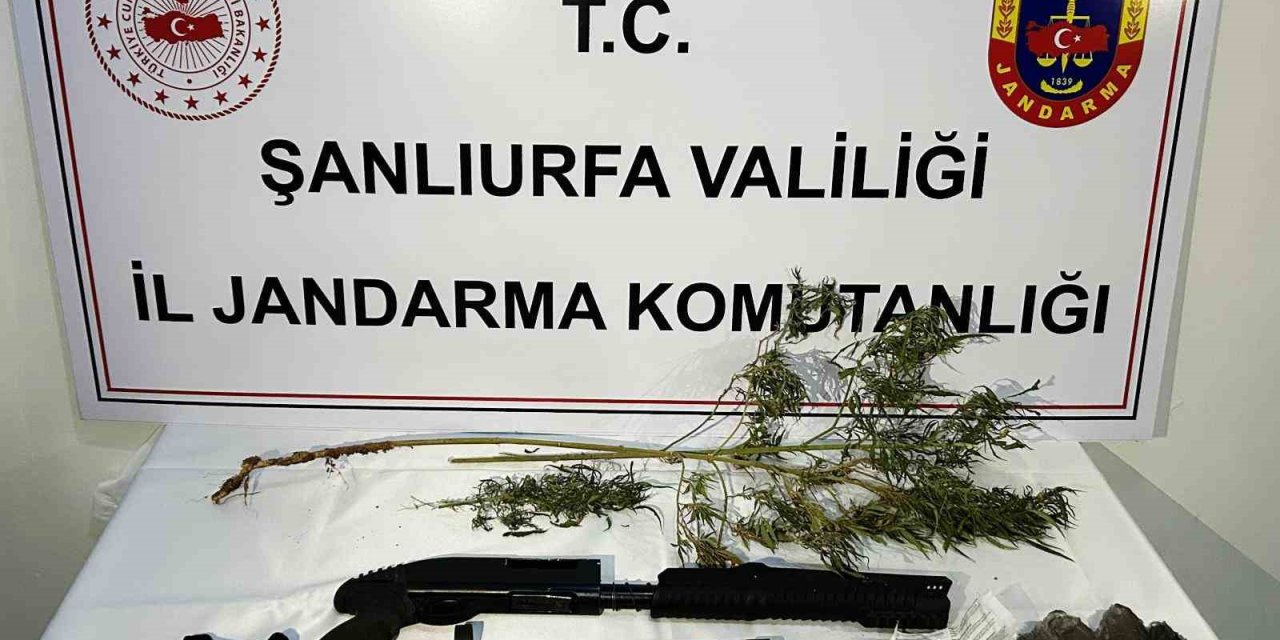 Şanlıurfa’da uyuşturucu operasyonunda 42 gözaltı