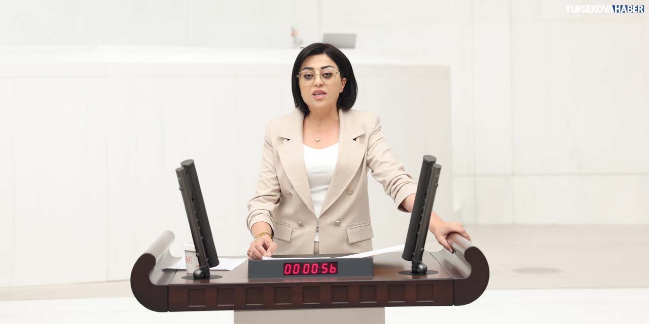 Bartın’dan Hakkari–Van karayolu için TBMM’ye soru önergesi