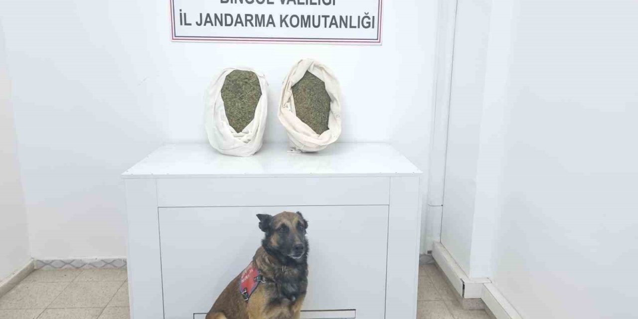 Bingöl’de jandarma ekipleri 10 kiloya yakın esrar yakalandı