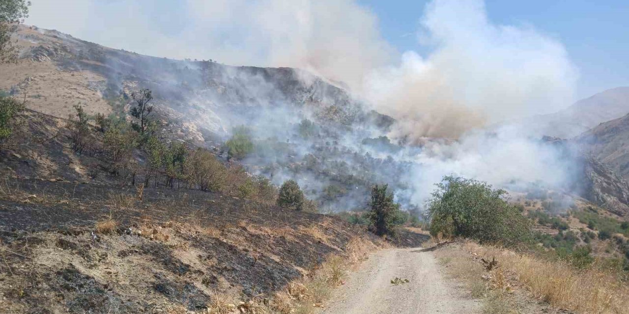İran sınırında yangın: Vatandaşlar müdahale etti