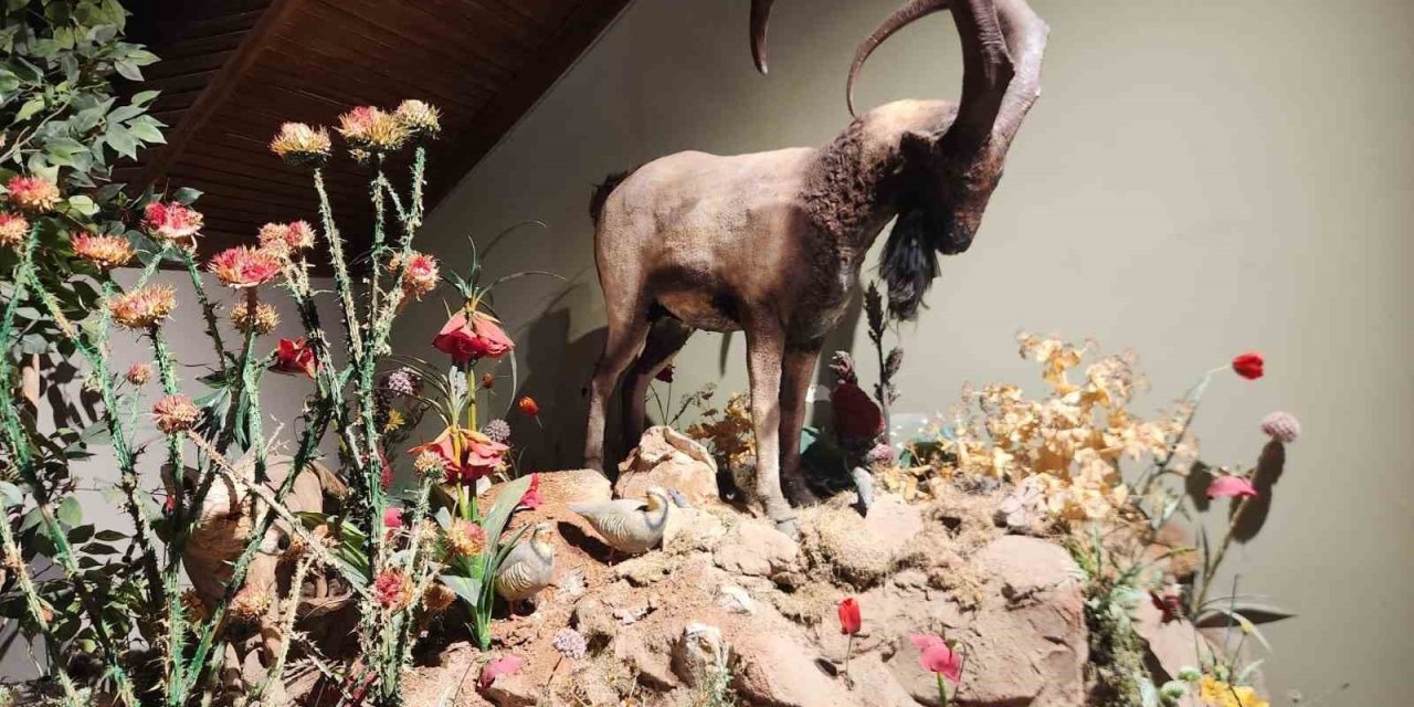 Tunceli Müzesi tarihe ışık tutuyor