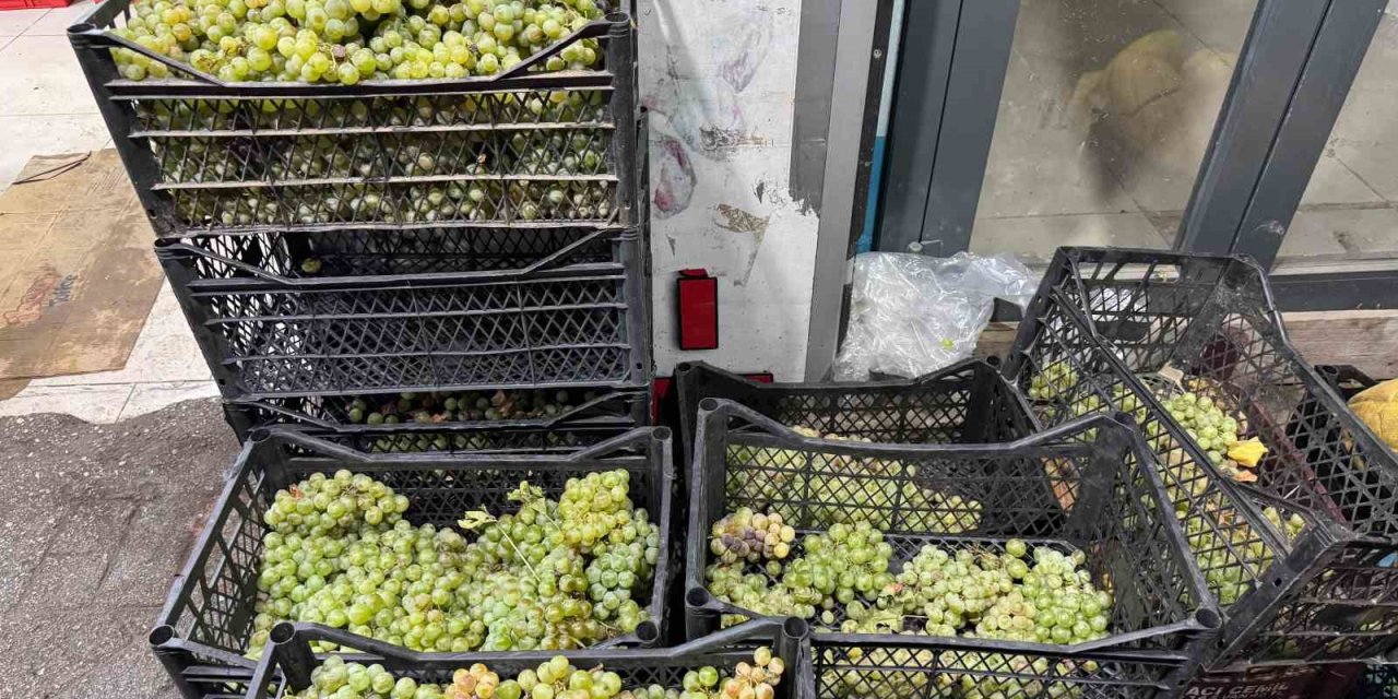Yüksekova’da Şemdinli üzümü tezgahlarda yerini aldı