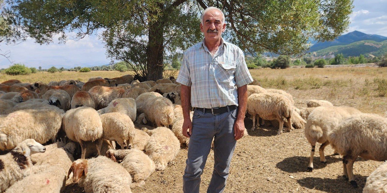 Tunceli'de çoban krizi büyüyor: Bir aylık ücret 130 bin TL’ye çıktı