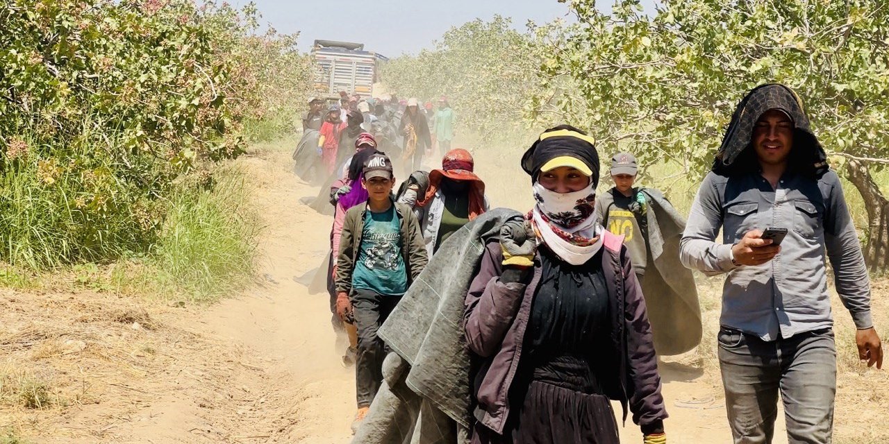 Fıstık üreticilerinden baklavacılara çağrı