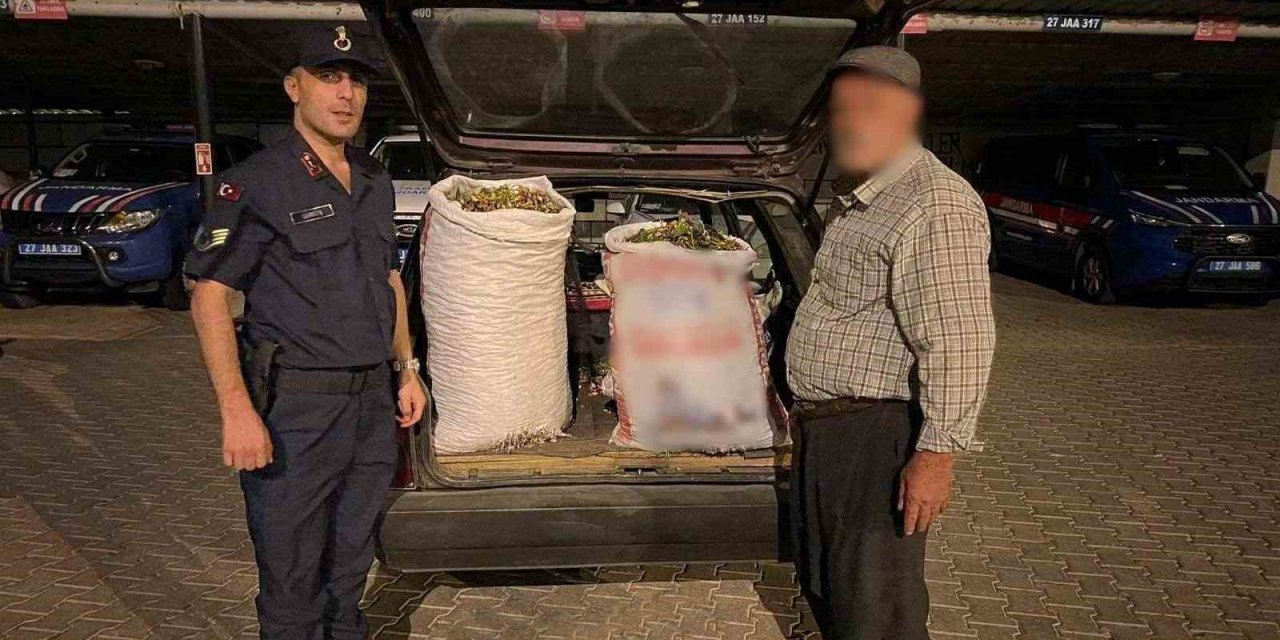 Gaziantep’te hırsızlık şüphelisi 24 kişi yakalandı