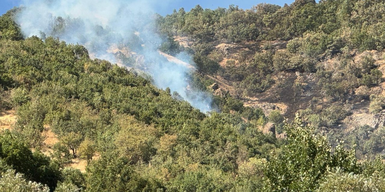Şemdinli’de 3 gündür süren yangın vatandaşları tedirgin ediyor