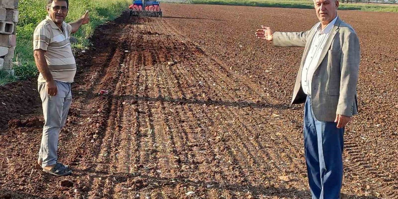Gaziantep'te Ovası’nda tecilli Araban sarımsağı ekimine başladı
