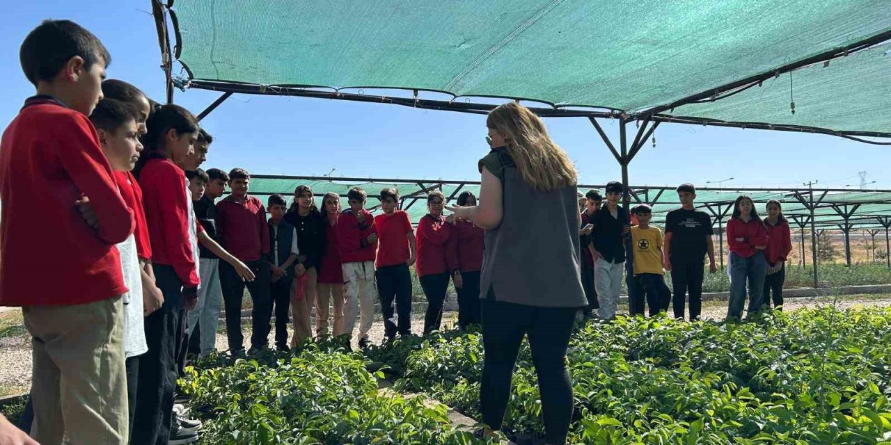 Van’da öğrencilerden doğa bilinci için etkinlik