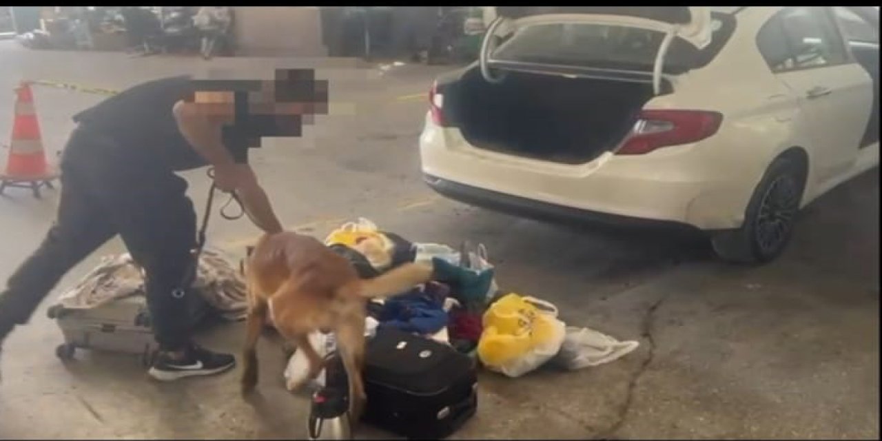 Van'da otomobilde sahte döviz yakalandı