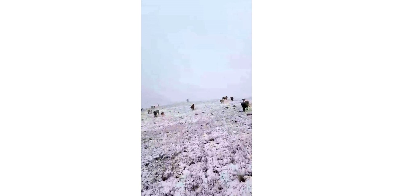 Sıcaklıkların hızla düştüğü Erzurum’da mevsimin ilk karı yağdı